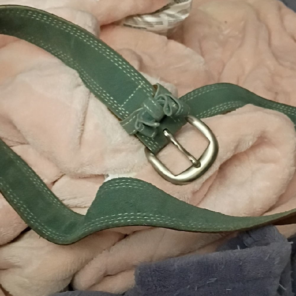 Green Suede Small GAP Belt Bow Detail